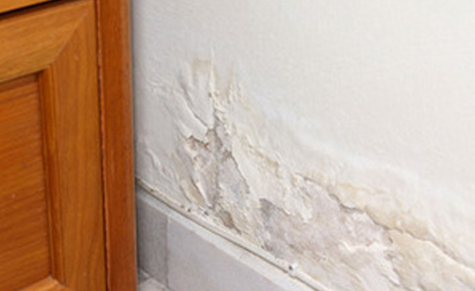 Top tips for fixing plaster crumbling by Damp2Dry.