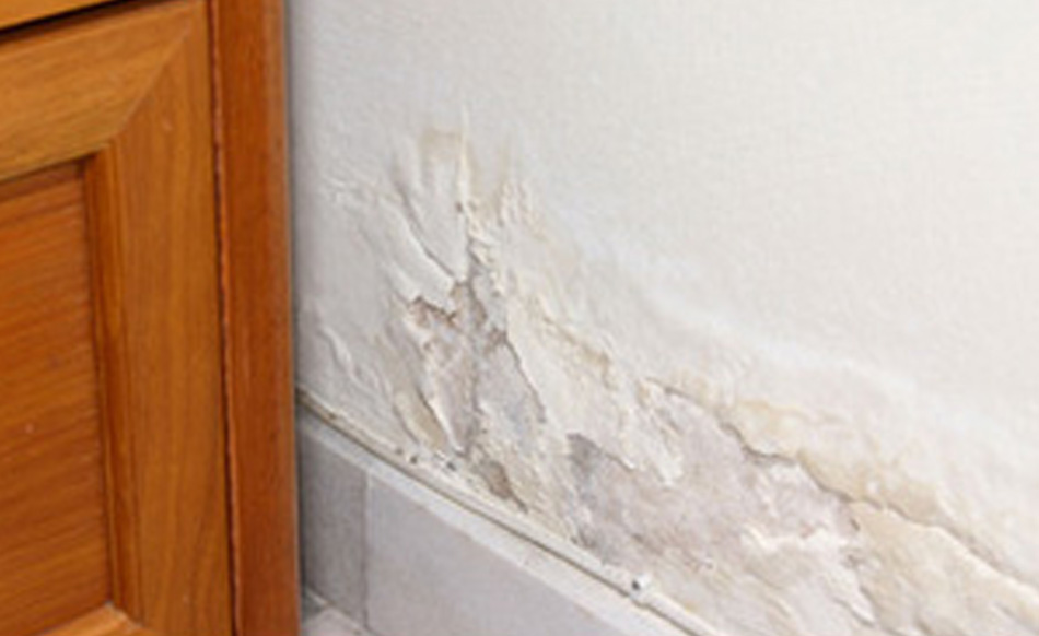 Crumbling Plaster Causes Fixes How To Repair Crumbling