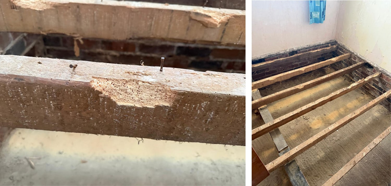 woodworm-wood.jpg