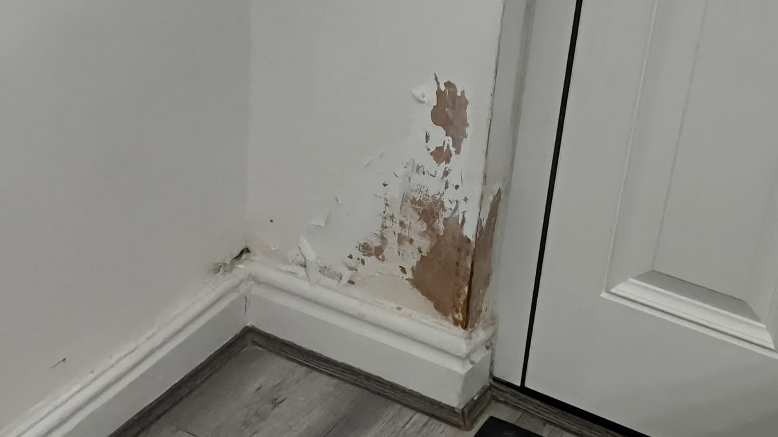 Damp proofing work